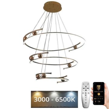 LED Stmievateľný luster na lanku LED/170W/230V 3000-6500K pr. 80 cm + diaľkové ovládanie