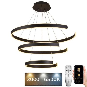 LED Stmievateľný luster na lanku LED/220W/230V 3000-6500K pr. 80 cm + diaľkové ovládanie