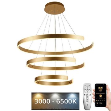 LED Stmievateľný luster na lanku LED/220W/230V 3000-6500K pr. 80 cm + diaľkové ovládanie