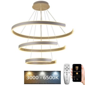 LED Stmievateľný luster na lanku LED/220W/230V 3000-6500K pr. 80 cm + diaľkové ovládanie