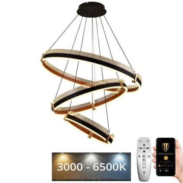 LED Stmievateľný luster na lanku LED/240W/230V 3000-6500K pr. 80 cm + diaľkové ovládanie