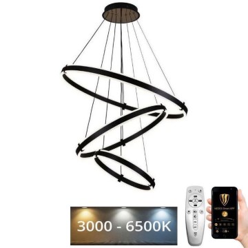 LED Stmievateľný luster na lanku LED/250W/230V 3000-6500K pr. 80 cm + diaľkové ovládanie