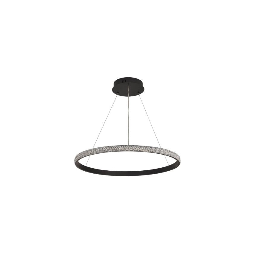 LED Stmievateľný luster na lanku LED/40W/230V 3000-6500K pr. 60 cm + diaľkové ovládanie