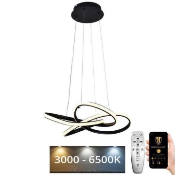 LED Stmievateľný luster na lanku LED/40W/230V 3000-6500K pr. 48 cm čierna + diaľkové ovládanie