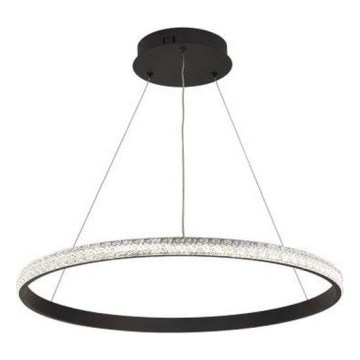 LED Stmievateľný luster na lanku LED/40W/230V 3000-6500K pr. 60 cm + diaľkové ovládanie