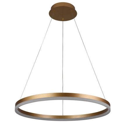 LED Stmievateľný luster na lanku LED/42W/230V 3000-6500K pr. 60 cm + diaľkové ovládanie