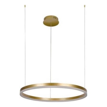 LED Stmievateľný luster na lanku LED/42W/230V 3000-6500K + diaľkové ovládanie