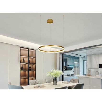LED Stmievateľný luster na lanku LED/42W/230V 3000-6500K + diaľkové ovládanie