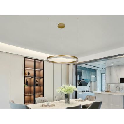 LED Stmievateľný luster na lanku LED/42W/230V 3000-6500K + diaľkové ovládanie