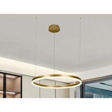 LED Stmievateľný luster na lanku LED/42W/230V 3000-6500K + diaľkové ovládanie