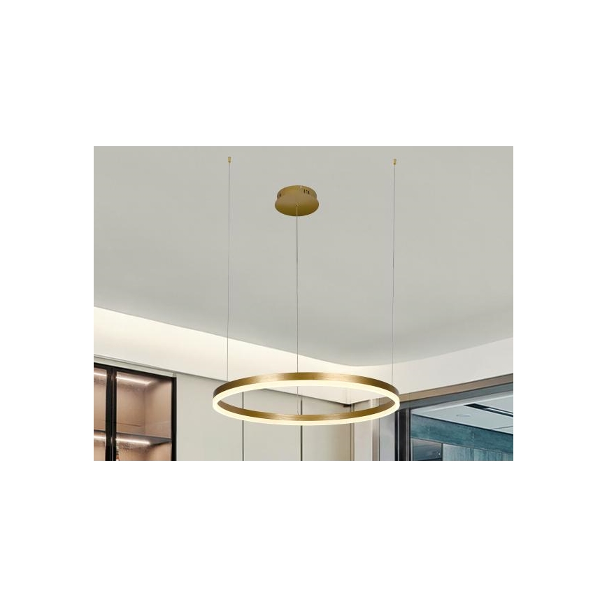 LED Stmievateľný luster na lanku LED/42W/230V 3000-6500K + diaľkové ovládanie