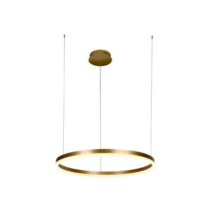 LED Stmievateľný luster na lanku LED/42W/230V 3000-6500K + diaľkové ovládanie