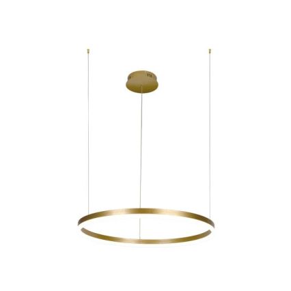 LED Stmievateľný luster na lanku LED/42W/230V 3000-6500K + diaľkové ovládanie