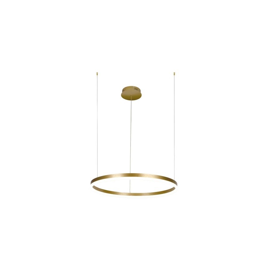 LED Stmievateľný luster na lanku LED/42W/230V 3000-6500K + diaľkové ovládanie