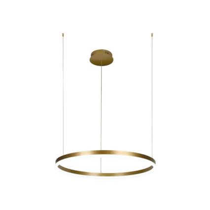 LED Stmievateľný luster na lanku LED/42W/230V 3000-6500K + diaľkové ovládanie