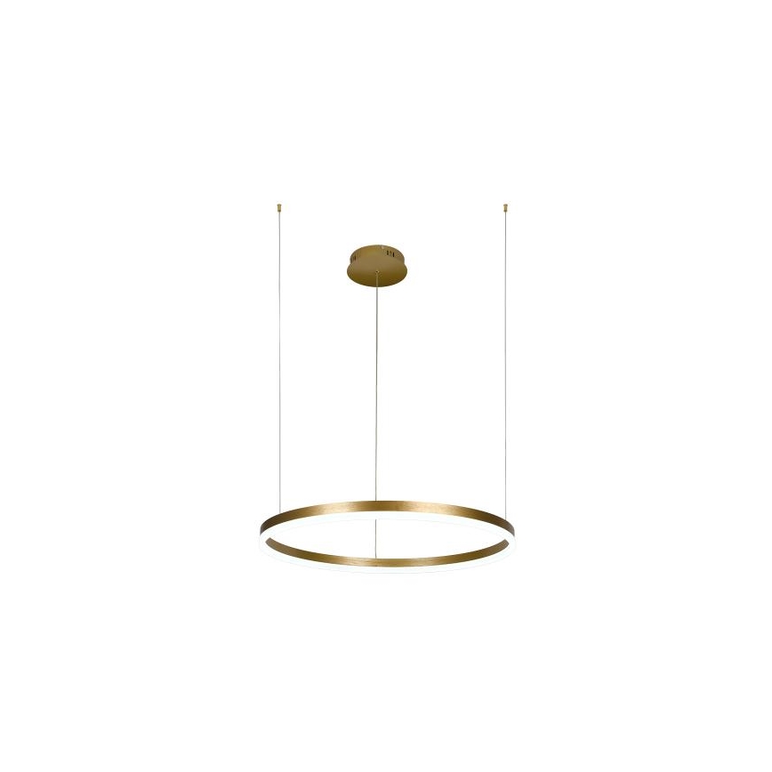 LED Stmievateľný luster na lanku LED/42W/230V 3000-6500K + diaľkové ovládanie