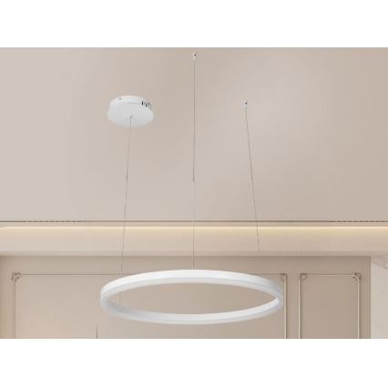 LED Stmievateľný luster na lanku LED/42W/230V 3000-6500K + diaľkové ovládanie