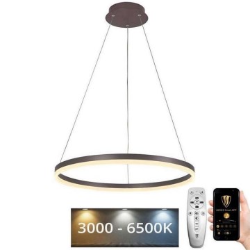LED Stmievateľný luster na lanku LED/42W/230V 3000-6500K pr. 60 cm + diaľkové ovládanie
