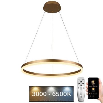 LED Stmievateľný luster na lanku LED/42W/230V 3000-6500K pr. 60 cm + diaľkové ovládanie