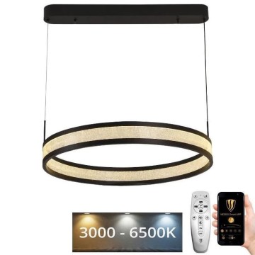 LED Stmievateľný luster na lanku LED/45W/230V 3000-6500K pr. 60 cm čierna + diaľkové ovládanie