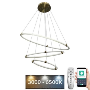 LED Stmievateľný luster na lanku LED/45W/230V 3000-6500K pr. 80 cm + diaľkové ovládanie