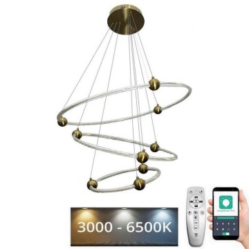 LED Stmievateľný luster na lanku LED/45W/230V 3000-6500K pr. 80 cm + diaľkové ovládanie