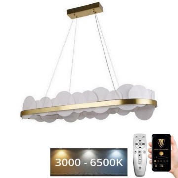 LED Stmievateľný luster na lanku LED/50W/230V 3000-6500K zlatá + diaľkové ovládanie