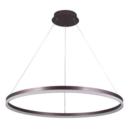 LED Stmievateľný luster na lanku LED/55W/230V 3000-6500K pr. 80 cm + diaľkové ovládanie