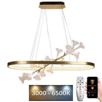 LED Stmievateľný luster na lanku LED/55W/230V 3000-6500K + diaľkové ovládanie