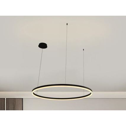 LED Stmievateľný luster na lanku LED/55W/230V 3000-6500K pr. 80 cm + diaľkové ovládanie
