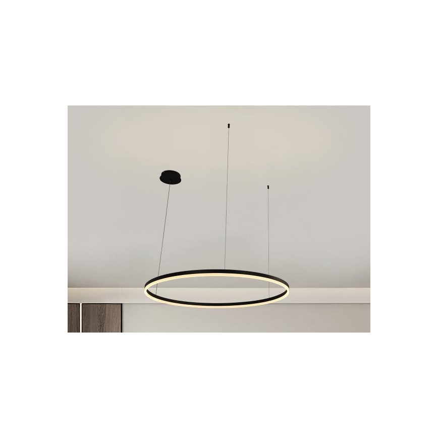LED Stmievateľný luster na lanku LED/55W/230V 3000-6500K pr. 80 cm + diaľkové ovládanie