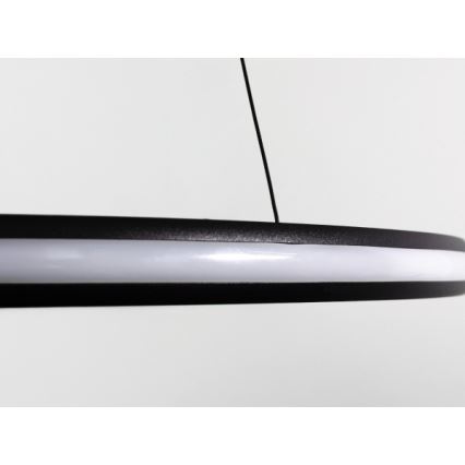 LED stmievateľný luster na lane LED/55W/230V 3000-6500K pr. 60 cm + diaľkové ovládanie