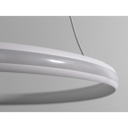 LED stmievateľný luster na lanku LED/55W/230V 3000-6500K pr. 60 cm + diaľkové ovládanie