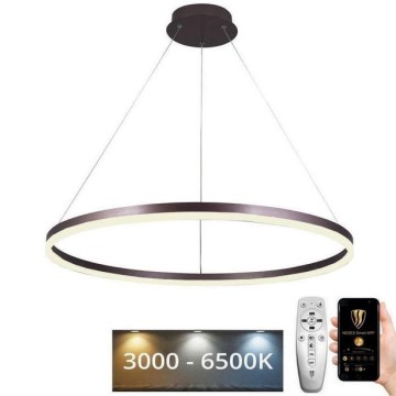 LED Stmievateľný luster na lanku LED/55W/230V 3000-6500K pr. 80 cm + diaľkové ovládanie