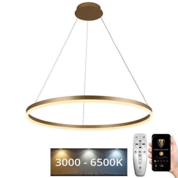 LED Stmievateľný luster na lanku LED/55W/230V 3000-6500K pr. 80 cm + diaľkové ovládanie