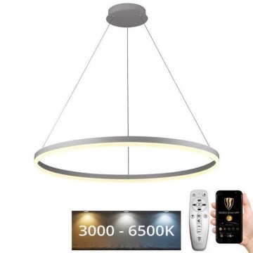 LED Stmievateľný luster na lanku LED/55W/230V 3000-6500K pr. 80 cm + diaľkové ovládanie