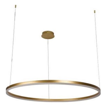 LED Stmievateľný luster na lanku LED/55W/230V 3000-6500K pr. 80 cm + diaľkové ovládanie