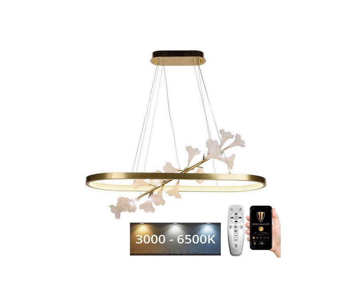 LED Stmievateľný luster na lanku LED/65W/230V 3000-6500K + diaľkové ovládanie J5304/C
