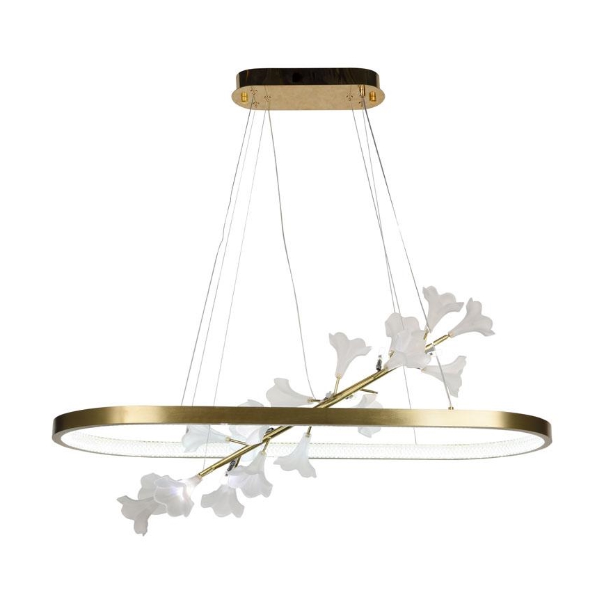 LED Stmievateľný luster na lanku LED/65W/230V 3000-6500K + diaľkové ovládanie