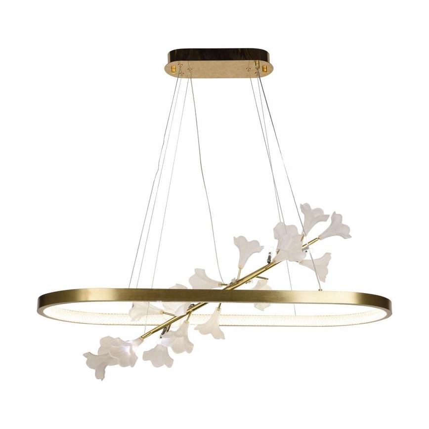 LED Stmievateľný luster na lanku LED/65W/230V 3000-6500K + diaľkové ovládanie