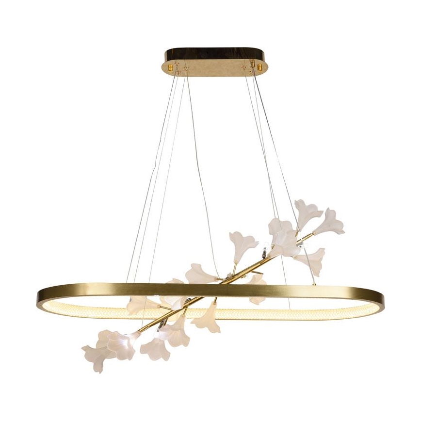 LED Stmievateľný luster na lanku LED/65W/230V 3000-6500K + diaľkové ovládanie