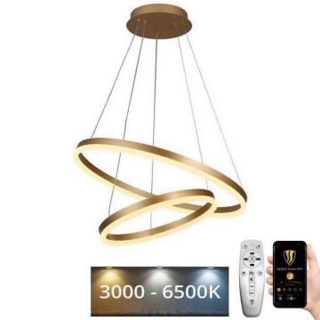 LED Stmievateľný luster na lanku LED/70W/230V 3000-6500K pr. 60 cm + diaľkové ovládanie