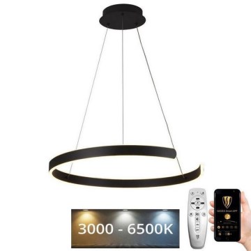 LED Stmievateľný luster na lanku LED/70W/230V 3000-6500K pr. 60 cm + diaľkové ovládanie