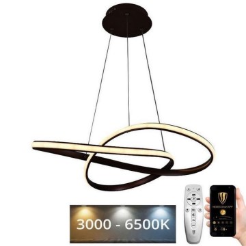 LED Stmievateľný luster na lanku LED/70W/230V 3000-6500K pr. 60 cm + diaľkové ovládanie