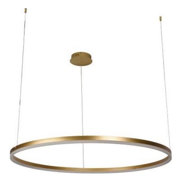 LED Stmievateľný luster na lanku LED/72W/230V 3000-6500K pr. 100 cm + diaľkové ovládanie