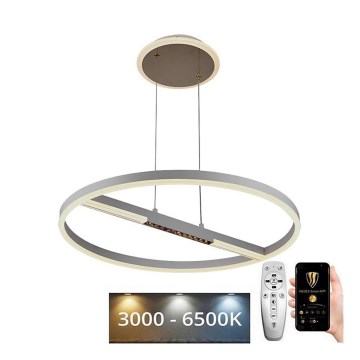 LED Stmievateľný luster na lanku LED/75W/230V 3000-6500K pr. 60 cm + diaľkové ovládanie