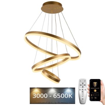 LED Stmievateľný luster na lanku LED/85W/230V 3000-6500K pr. 60 cm + diaľkové ovládanie