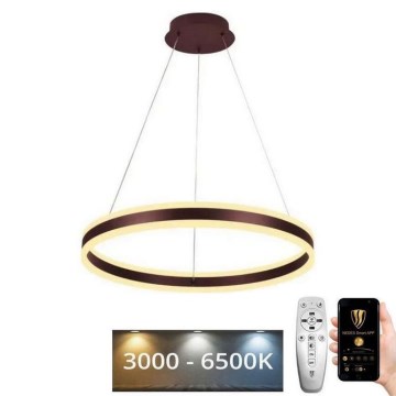 LED Stmievateľný luster na lanku LED/85W/230V 3000-6500K pr. 60 cm + diaľkové ovládanie