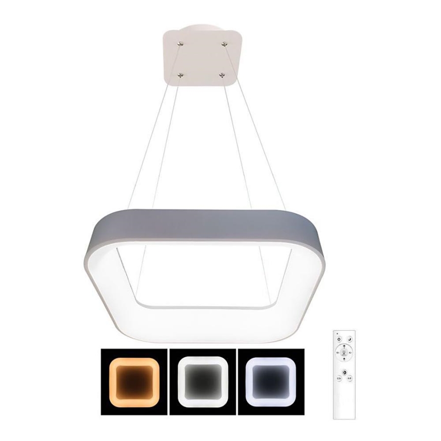 LED Stmievateľný luster na lanku NEST LED/40W/230V 3000-6500K šedá + diaľkové ovládanie