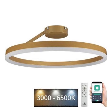 LED Stmievateľný prisadený luster LED/40W/230V 3000-6500K zlatá + diaľkové ovládanie